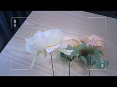 2.7K 12MP دوربین کوچک FPV با صدای فوری IPS نمایش رنگارنگ دوربین کوچک FPV